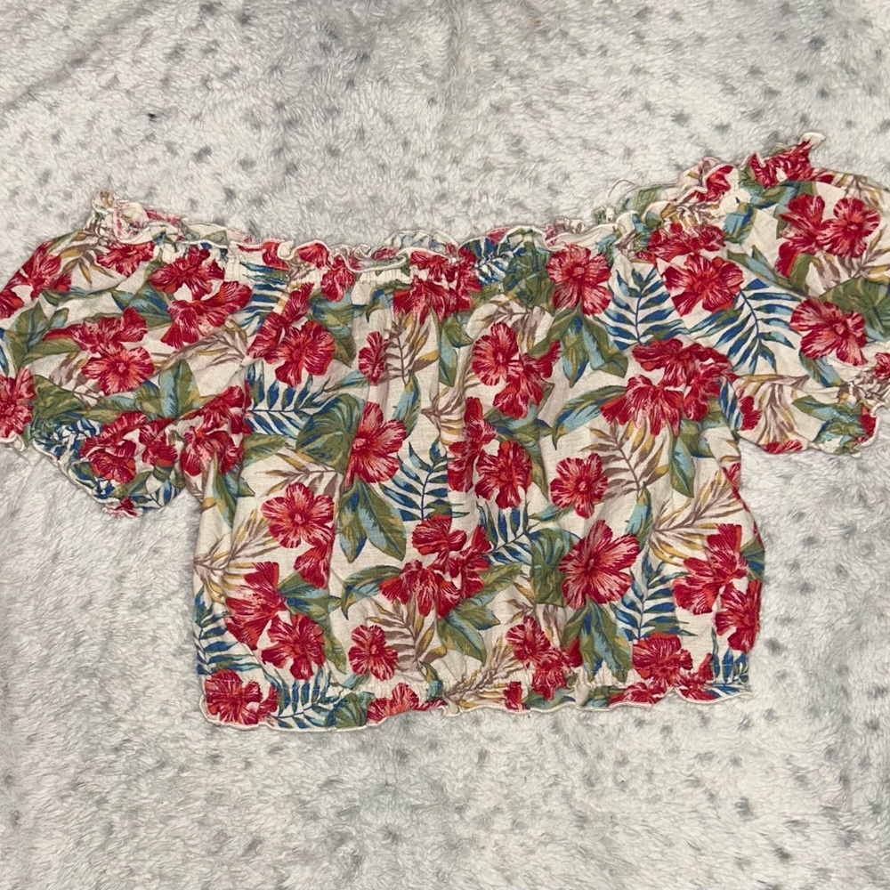 American Eagle Red Floral Crop Top